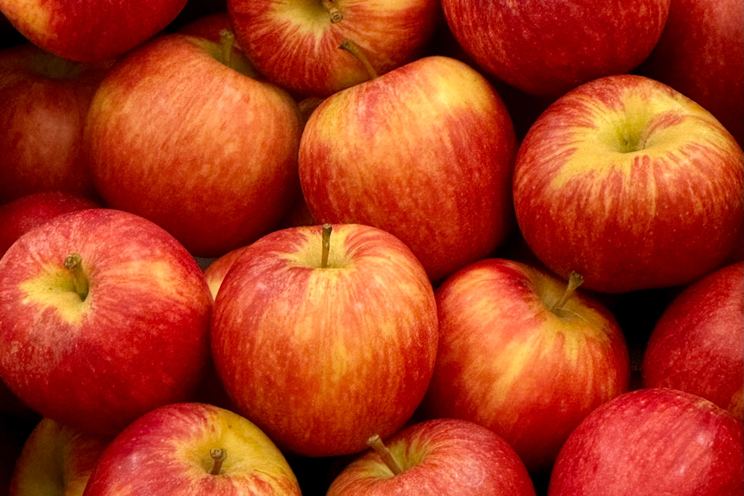 Apple Expands Trade Secrets Investigation into OpenAI