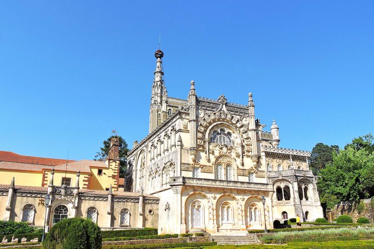 El bosque terapéutico de Bussaco: un oasis de tranquilidad en la península ibérica